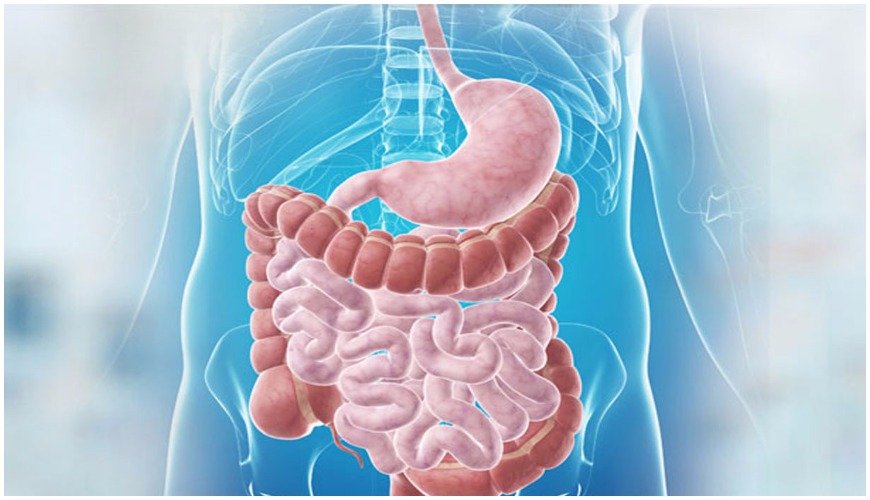 Gastroenterologia ed endoscopia digestiva Clinica Sanatrix Roma