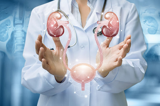 urologia chirurgia clinica sanatrix roma